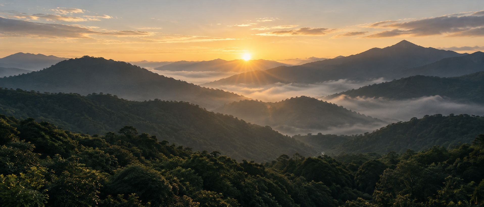 台灣山林晨光